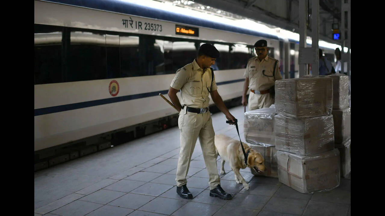 Army, Pune Police K9 Units Boost Detection Skills Jointly