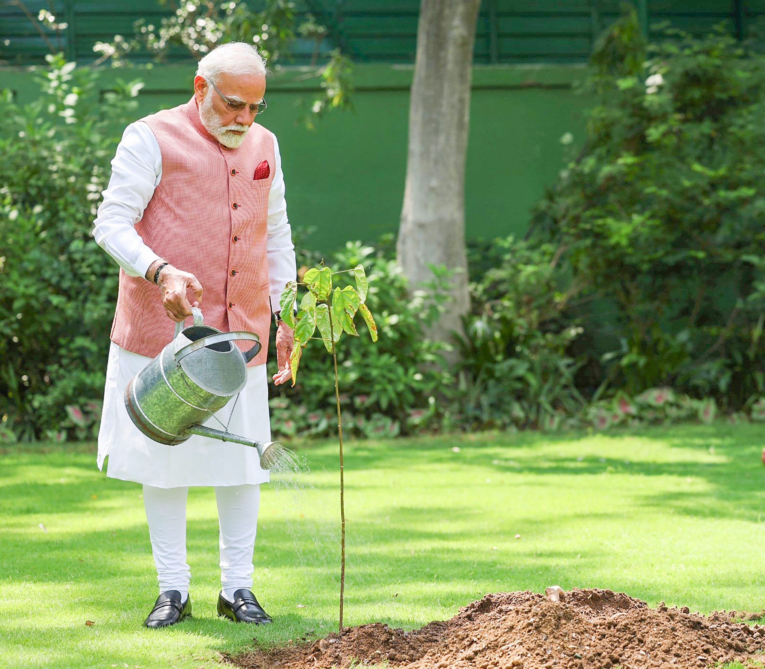 PM Modi Extends World Environment Day Greetings, Lauds Conservation Champions