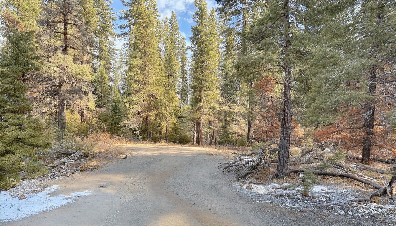 U.S. Forest Service unveils extensive closures of research facilities