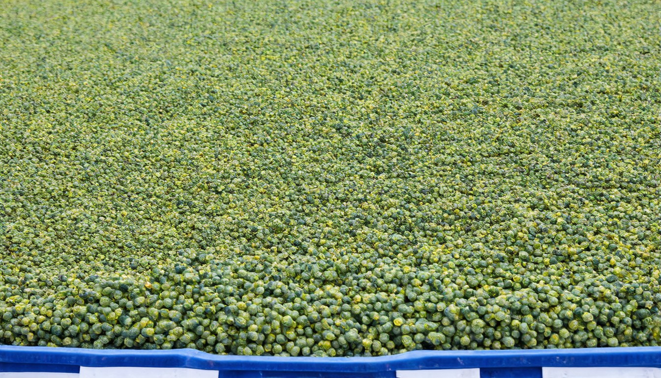 UK food inflation fears grow as fertilizer prices surge amid Middle East tensions