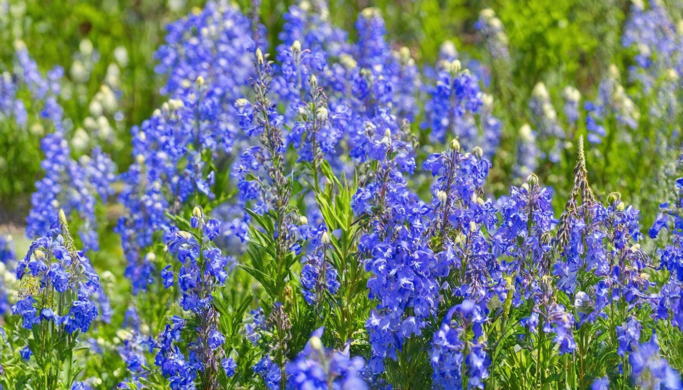 Ohio Wildflower Bloom Report 2026: Where to find the best spring blooms