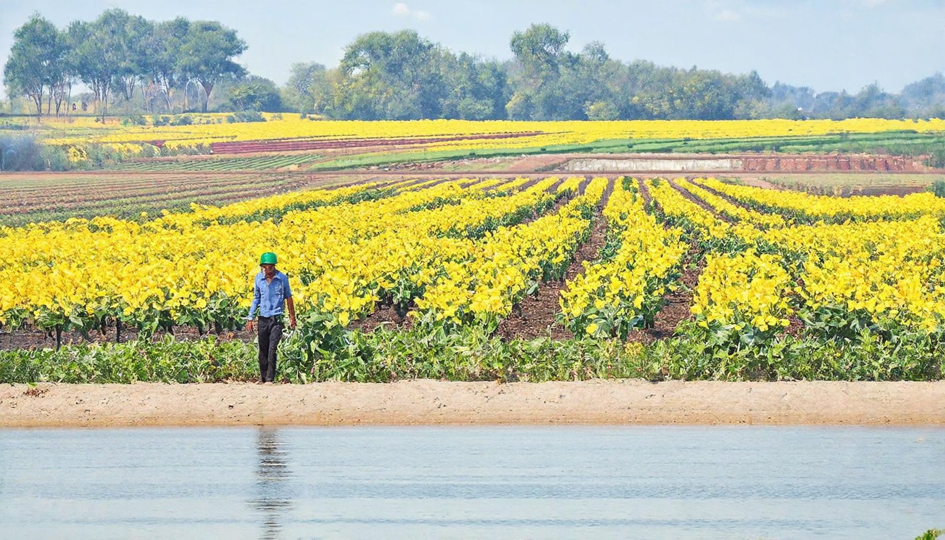 Field Notes: Forward Consumer Partners’ Fund II hits $500m hard cap; BTG weighs conservation plays after Weyerhaeuser deal
