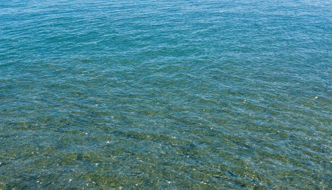 The poisonous global politics of water