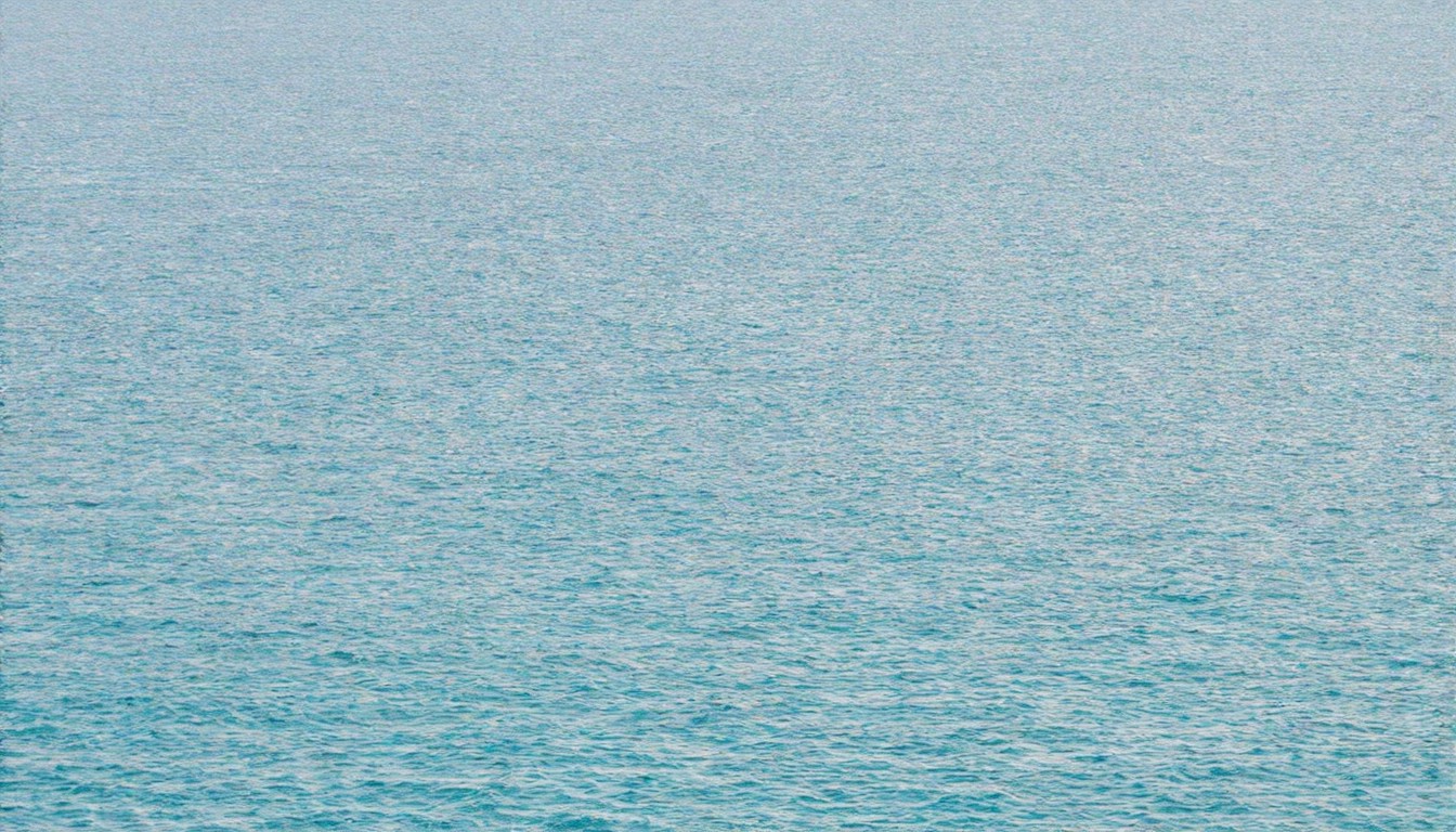 China offers diplomatic immunity in bid to host oceans treaty