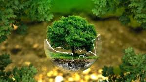 Experts Advocate Nature-Based Climate Action Amidst Deepening Water Crisis and Biodiversity Loss