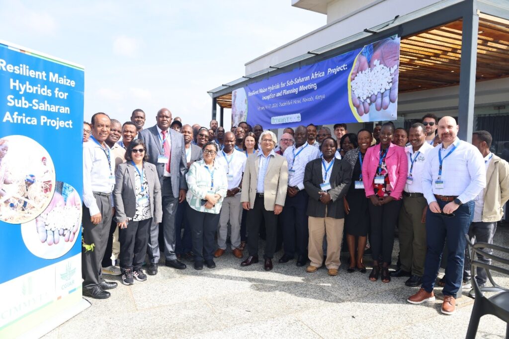 Transforming maize productivity in Sub Saharan Africa through the developments of breakthrough hybrids