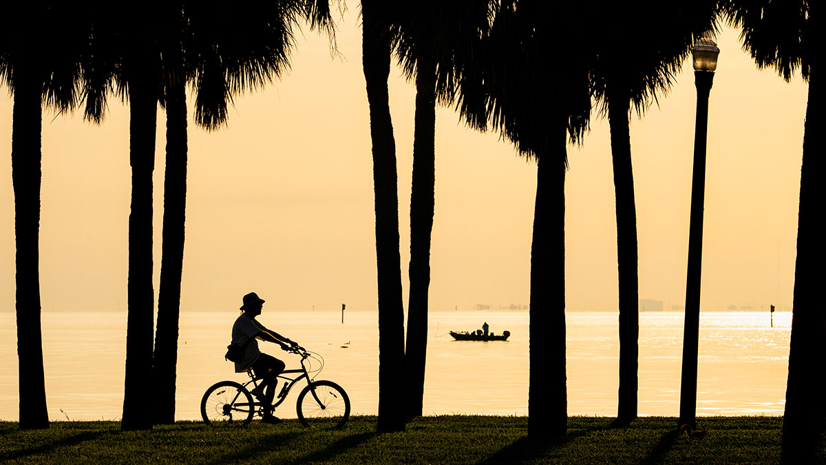 Is the Sunshine State Feeling Blue?
