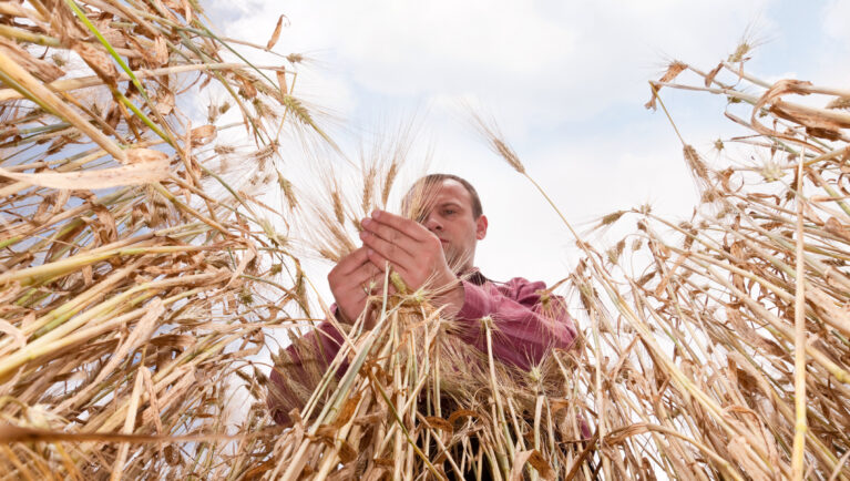Your Data Doesn’t End at the Lab, It Shows Up in the Field