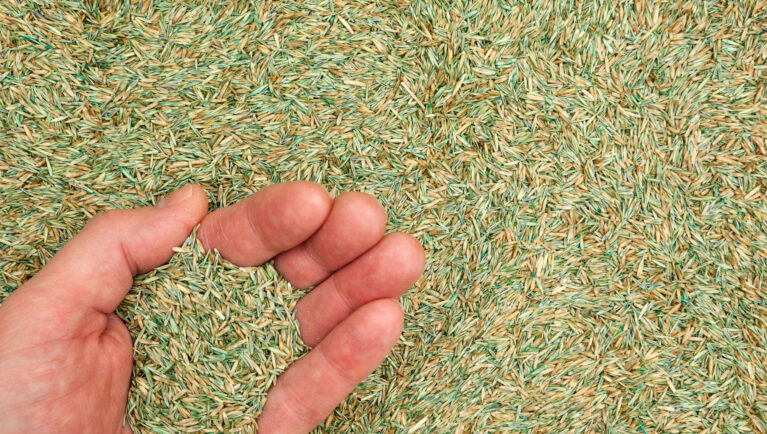 Coated Seeds Changed Alfalfa Forever. Who’s Next?