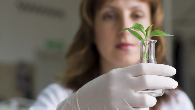 Seed Health and Regulatory Risk: Protecting R&D Timelines in a Complex Global Market