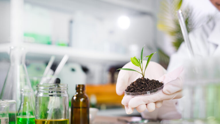 Researchers Discover Hidden “Early Warning” System in Plant Immune Response