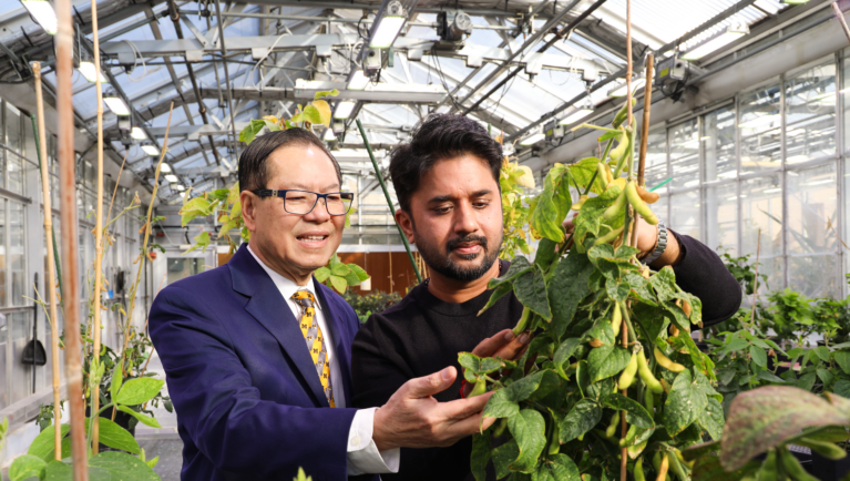 The Show Me State is Ground Zero in the Fight Against Soybean Cyst Nematode