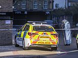 Four men arrested on suspicion of murder after man, 26, is stabbed to death outside London nightclub