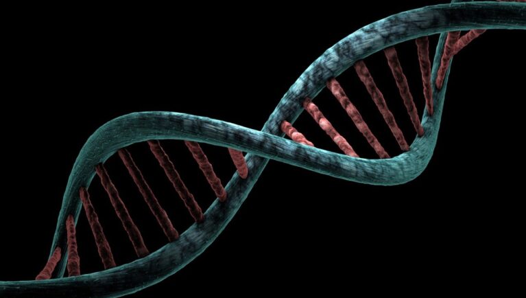 Chile Advances Regulatory Clarity for New Plant Breeding Technologies in Agriculture