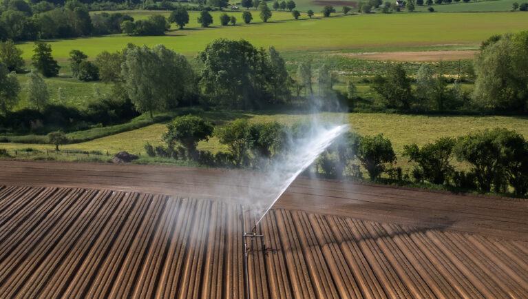 UK Food System Under Pressure as Report Urges Shift to Sustainable Farming