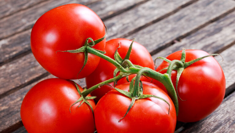 Chilean Scientists Boost Antioxidant Levels in Tomatoes Without Affecting Plant Growth