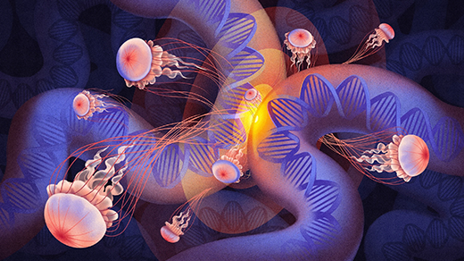 Loops of DNA Equipped Ancient Life To Become Complex