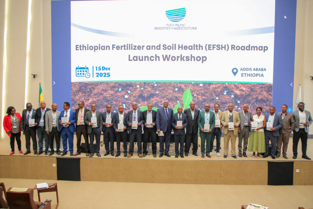 CIMMYT and partners launch Ethiopia’s Fertilizer and Soil Health RoadMap to restore degraded soils and boost food security