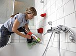 The Morning Poll: Will you use the bank holiday to do some DIY?