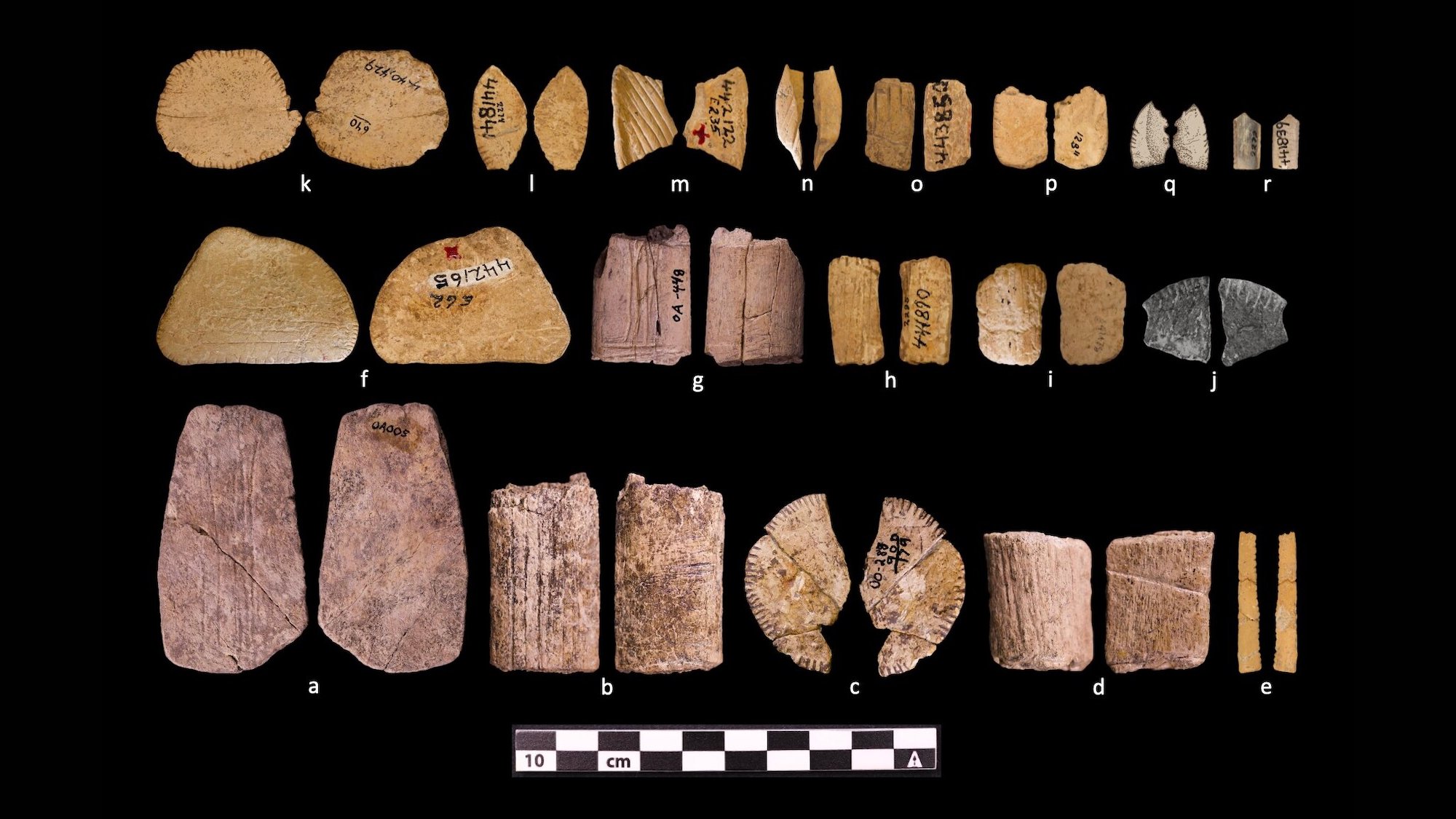 The first gamblers were Ice Age women on the Great Plains