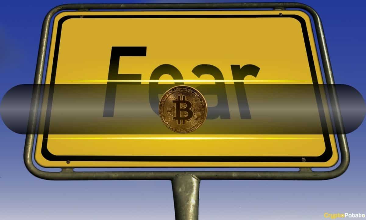 Bitcoin Enters Weekend With Highest Fear Levels in a Month: Here’s Why That’s Good
