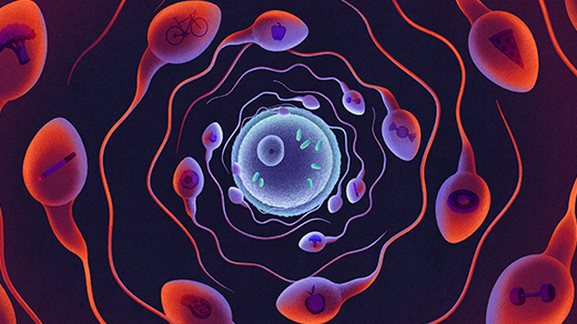 How Dad’s Fitness May Be Packaged and Passed Down in Sperm RNA
