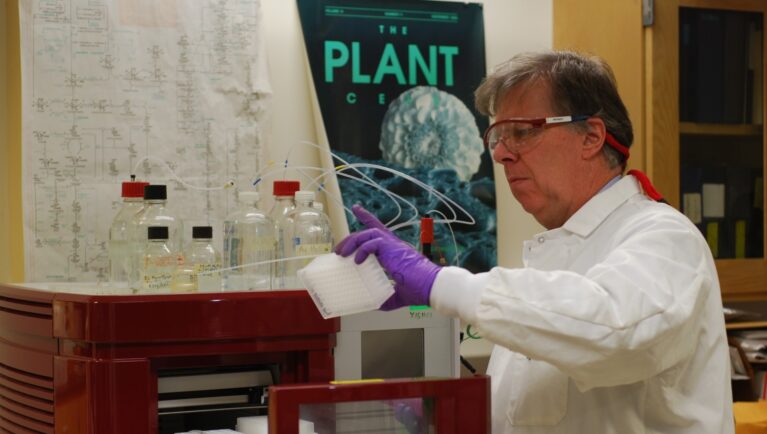 Seeds That Fix Themselves — A New Lever for Seed Longevity