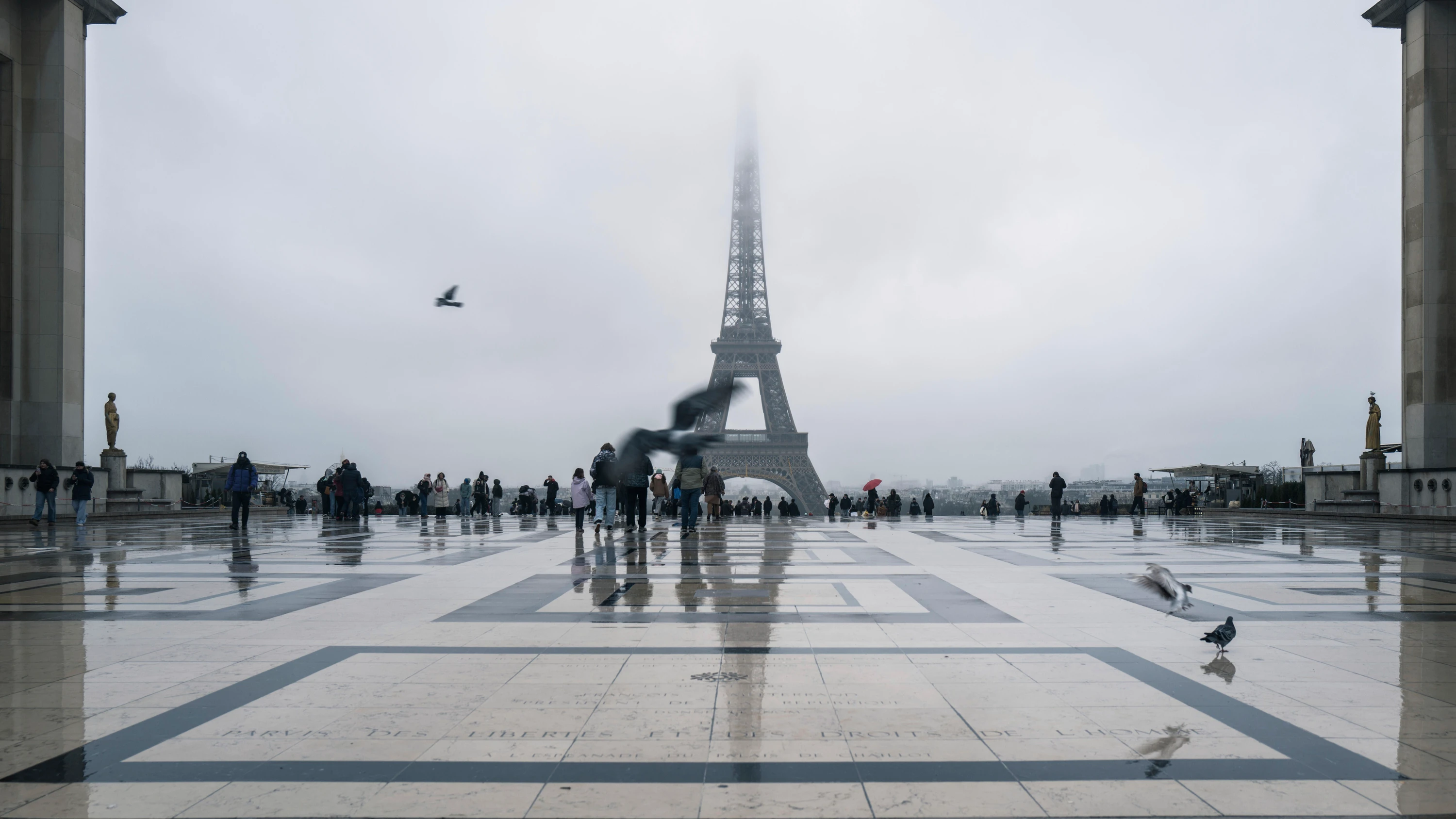 Wenn Reisen überfordert: Paris sehen und sterben?