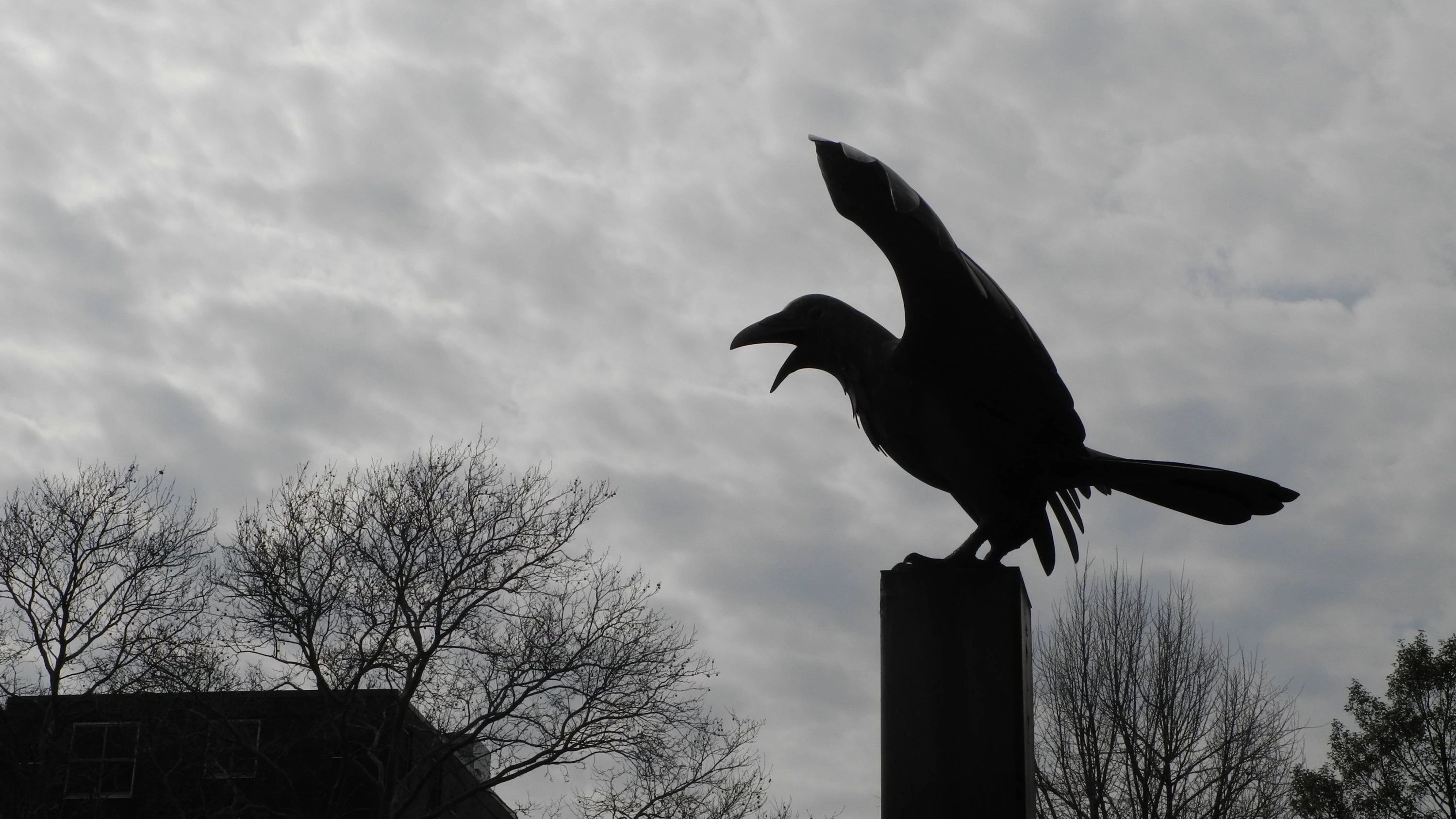 Bücher-Podcast: Endlose Faszination: Andreas Nohl über Edgar Allan Poe, den Magier des Grauens
