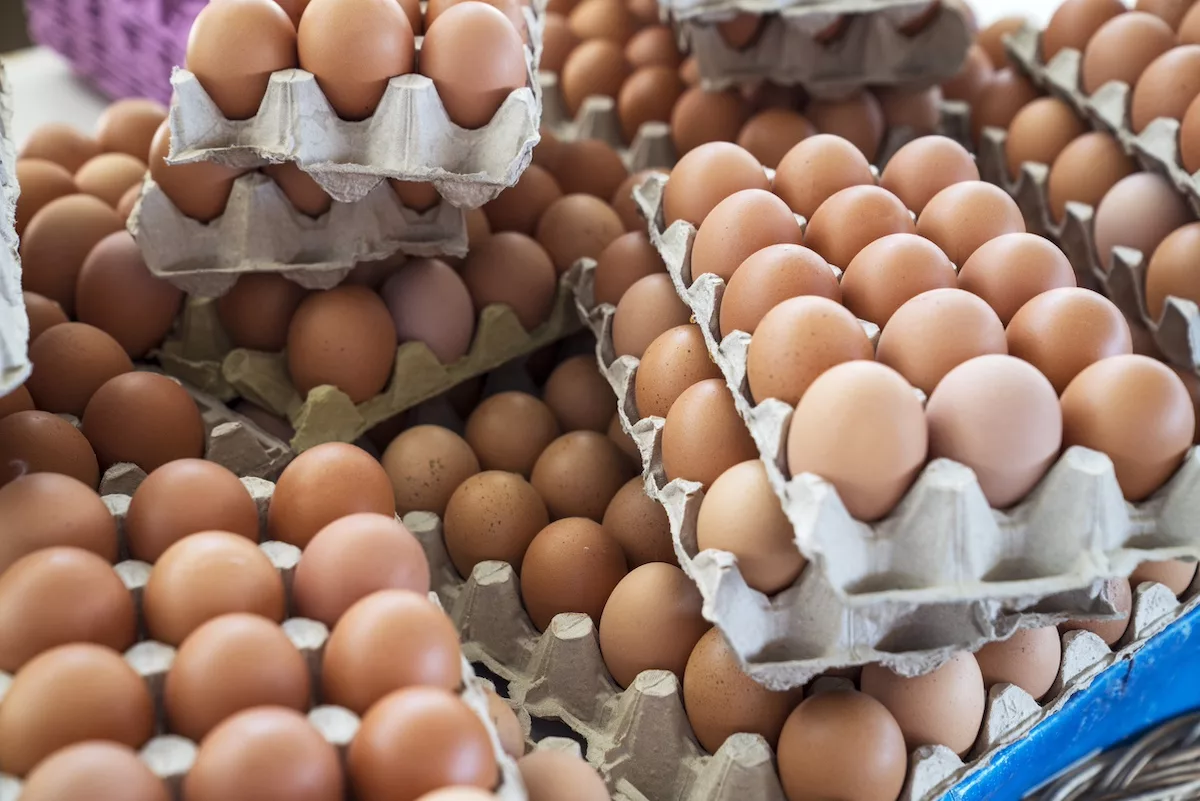 U.S. Egg Prices on the Decline Ahead of Easter Holiday