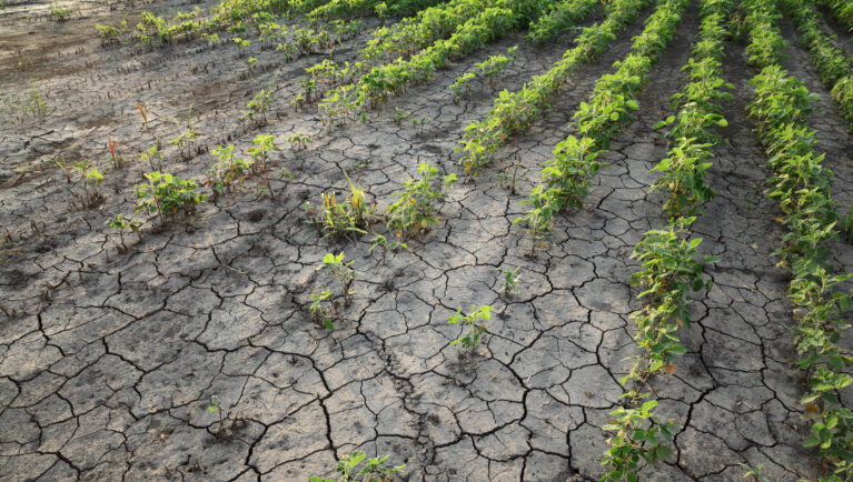 Europe’s Fields May Dry Out More — Even With Higher Rainfall