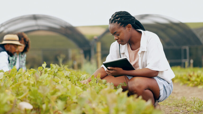 What’s the Right Amount of Education for You?