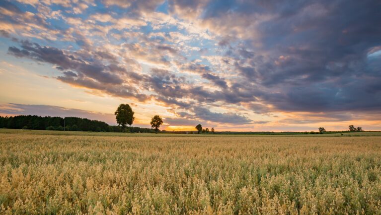Agriculture Day Highlights the Need for Clarity on the Future of AAFC Research