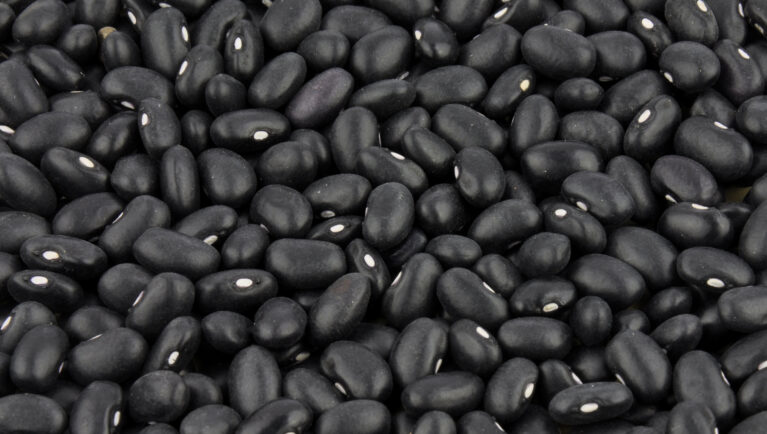 Embrapa presenta nuevos cultivares de frijol enfocados en la productividad, la reducción de riesgos y la calidad del mercado