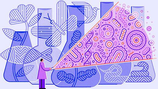 The Year in Biology