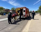 Arizona hiker stung more than 100 times by bees left in critical condition
