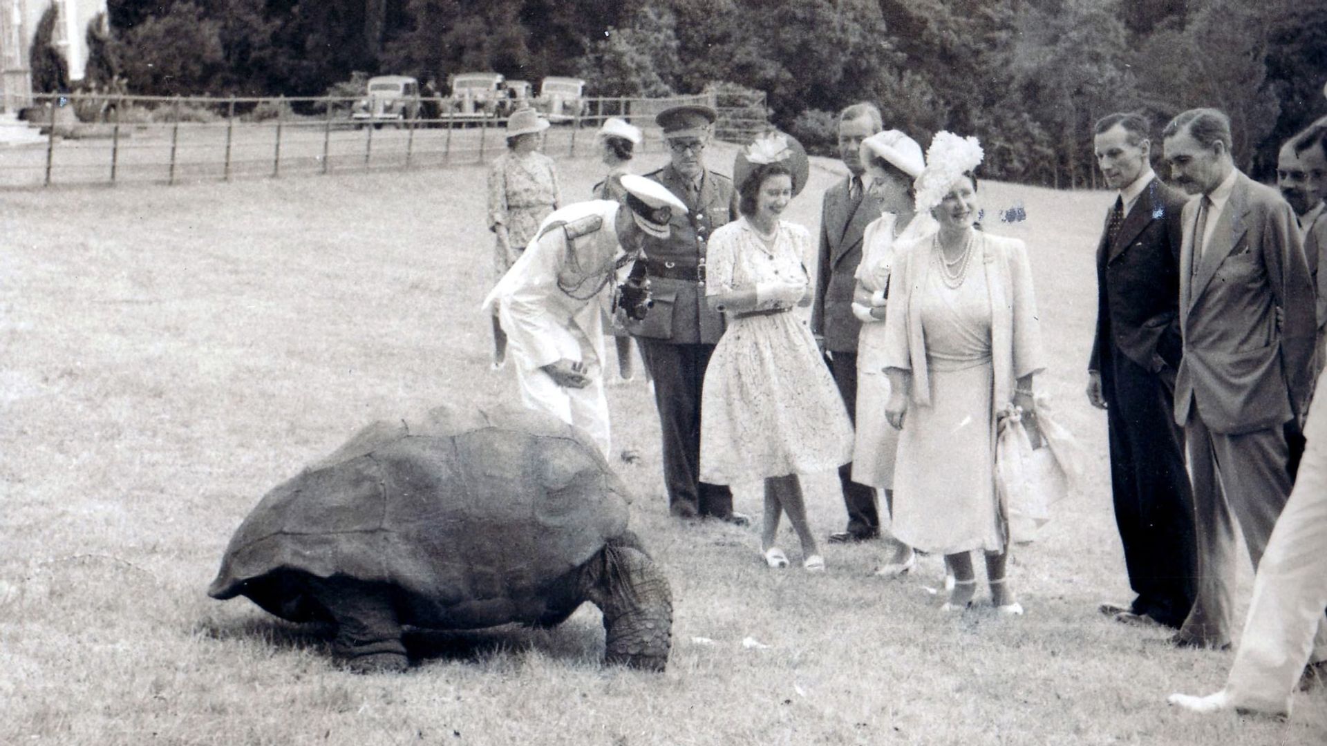 World's oldest living land animal 'alive' after getting caught up in alleged crypto scam