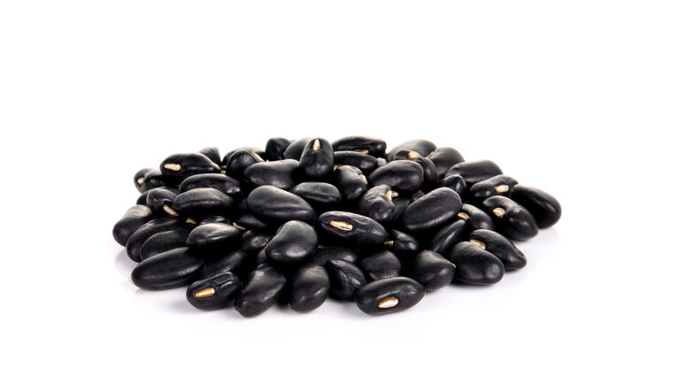 Embrapa Introduces New Bean Cultivars Focused on Productivity, Risk Reduction, and Market Quality