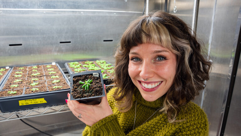 Plant Hormone Therapy Could Help Crops Fight Disease Without Sacrificing Yield