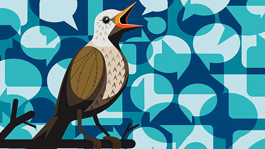 What Can Birdsong Teach Us About Human Language?
