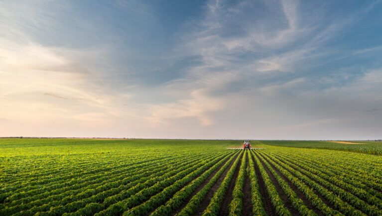 Why Proposed Dicamba Restrictions Could Impact Canadian Soybean Seed Production