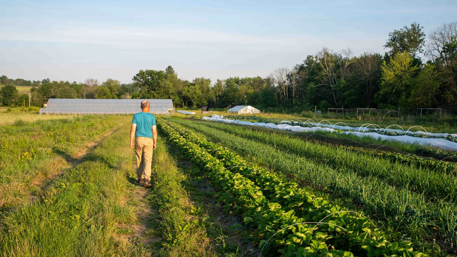 Farmland loans for regenerative agriculture: FBN and Walton family launch ‘first-of-its-kind’ lending program
