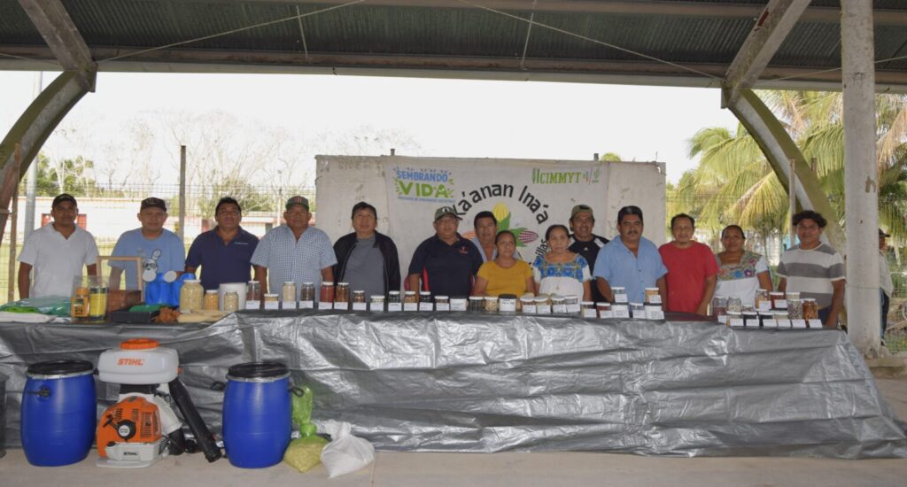 Seeds connecting communities for food security and sovereignty in Quintana Roo