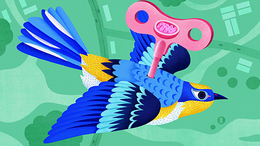 ‘Turbocharged’ Mitochondria Power Birds’ Epic Migratory Journeys