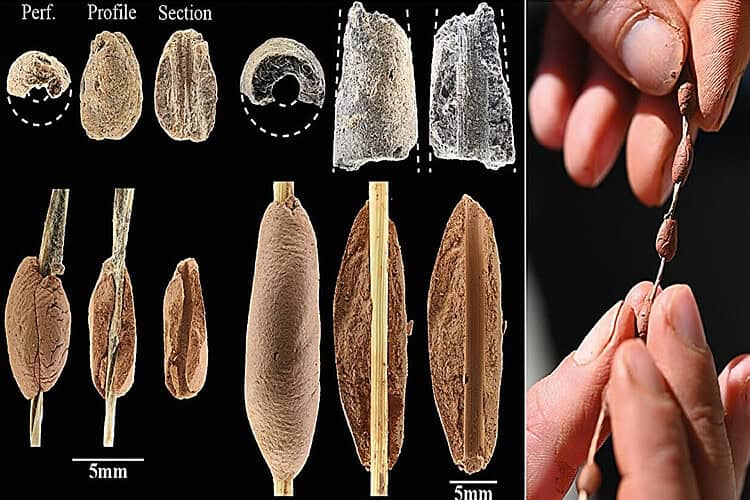 15,000-Year-Old Clay Beads Show Children Helped Craft Some of the First Ornaments