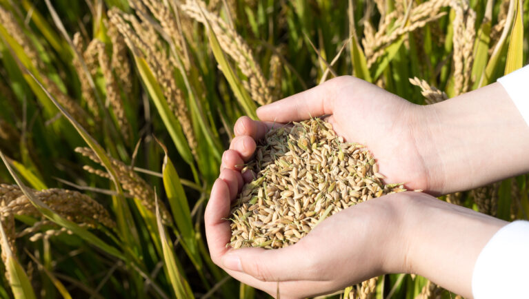 CPVR Evaluation: A Key Moment for the Future of Plant Variety Protection in Europe