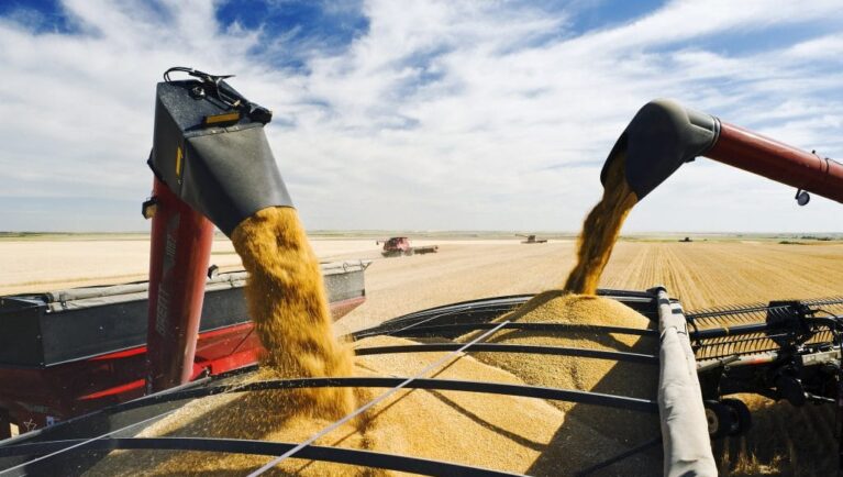 Grain Growers of Canada Demands Transparency on AAFC Research Cuts and Facility Closures
