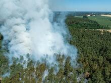 Zweithöchste Stufe: Waldbrandgefahr steigt im Süden Brandenburgs