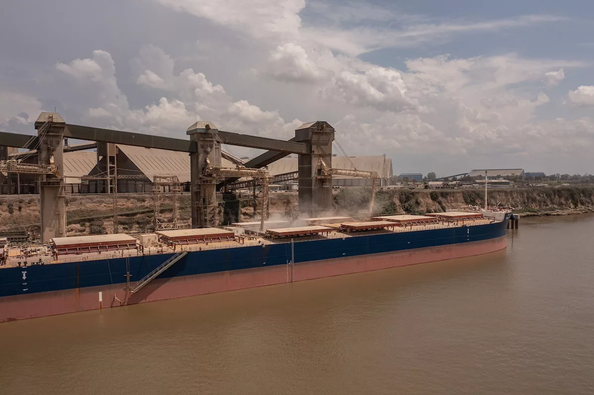 Cofco Books First Argentina Corn Cargo to China in Over 15 Years