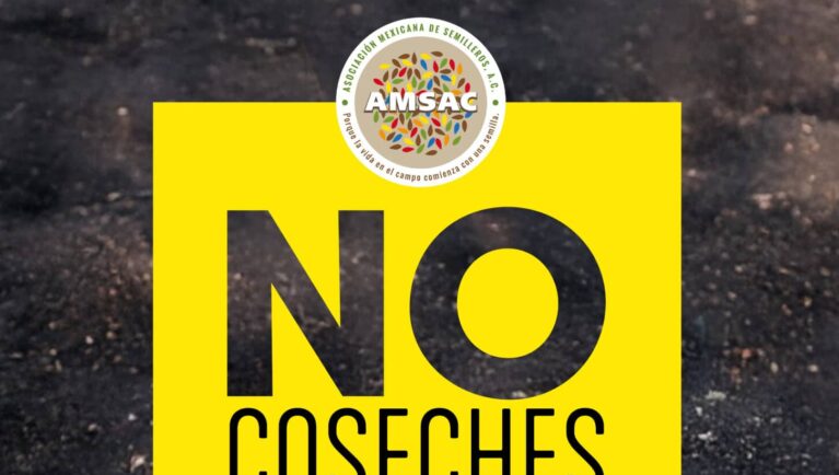 Combatiendo la Piratería de Semillas para Proteger la Productividad Agrícola de México